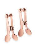 Bound Nipple Clamps C1