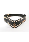 Fetish and Fashion Kali Collar - Black/Gold