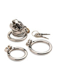 Master Series Caged Cougar Stainless Steel Locking Chastity Cage - Silver