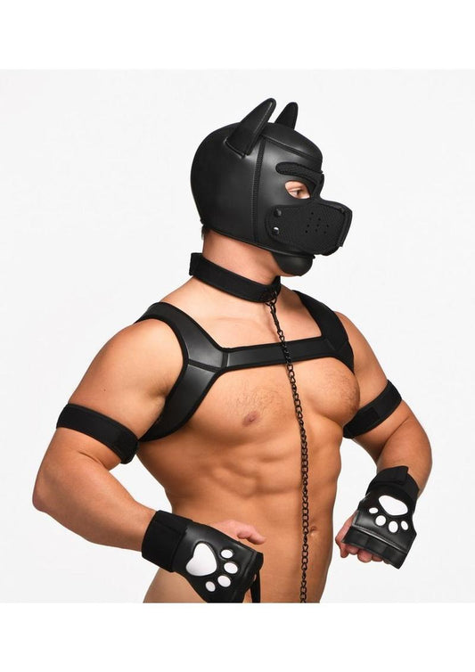 Master Series Deluxe Pup Arsenal - Black - Set