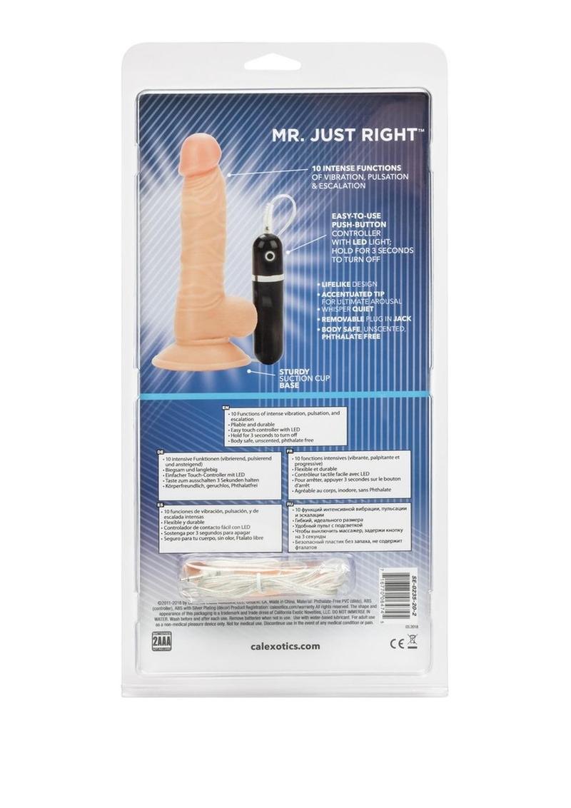 Mr Just Right Vibrating Dildo with Bullet - Vanilla - 5.25in