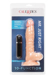 Mr Just Right Vibrating Dildo with Bullet