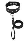 Sportsheets Leather Leash and Collar